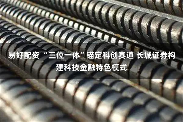 易好配资 “三位一体”锚定科创赛道 长城证券构建科技金融特色模式