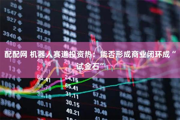配配网 机器人赛道投资热：能否形成商业闭环成“试金石”