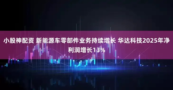 小股神配资 新能源车零部件业务持续增长 华达科技2025年净利润增长13%