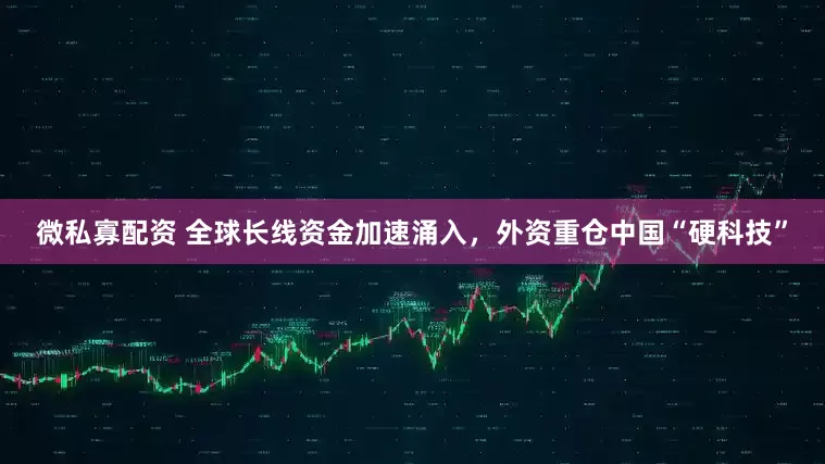 微私寡配资 全球长线资金加速涌入,外资重仓中国“硬科技”
